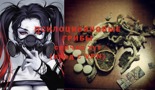 таблы Гусев