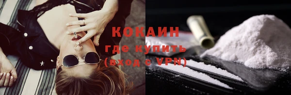 таблы Гусев