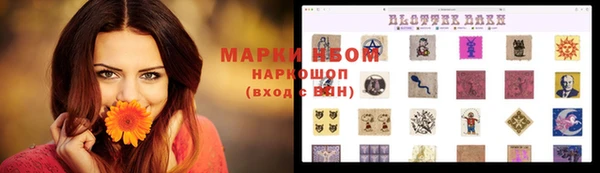 таблы Гусев