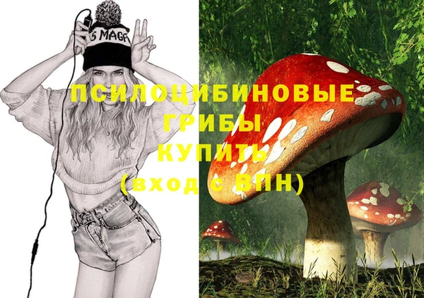таблы Гусев