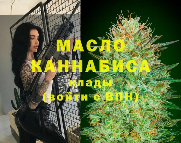 таблы Гусев
