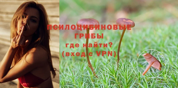 таблы Гусев